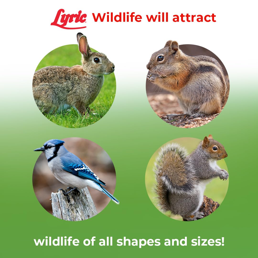 Lyric Wildlife Critter Food for Deer, Squirrels, Turkeys & Rabbits, Wild Bird Seed for Outside Feeders, 10 lb Bag