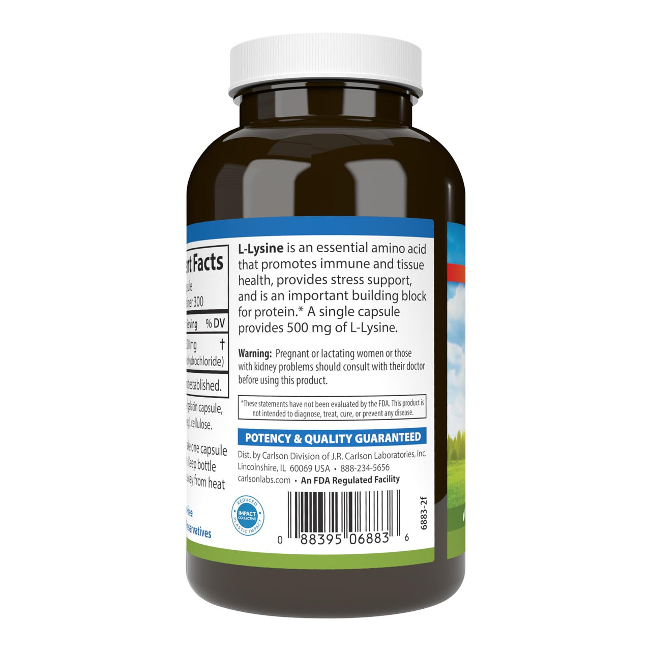 Carlson - L-Lysine, 500 mg, Supports Healthy Tissue & Muscle Development, 300 capsules