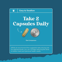 Thumbnail for Nootropic Brain Supplement for Memory and Focus Support - Vitamins for Mental Support & Clarity with Bacopa Monnieri, VIT A, B6, Riboflavin, Niacin, Thiamin & Folate - Cognitive Complex - 90 Count