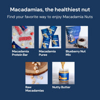 Thumbnail for Blueprint Bryan Johnson Macadamia Nut Puree On the Go - 1 Ingredient - No Added Sugar - Non Dairy, Vegan, Non GMO, Keto Friendly (12 Servings) - Add Water for Nut Milk