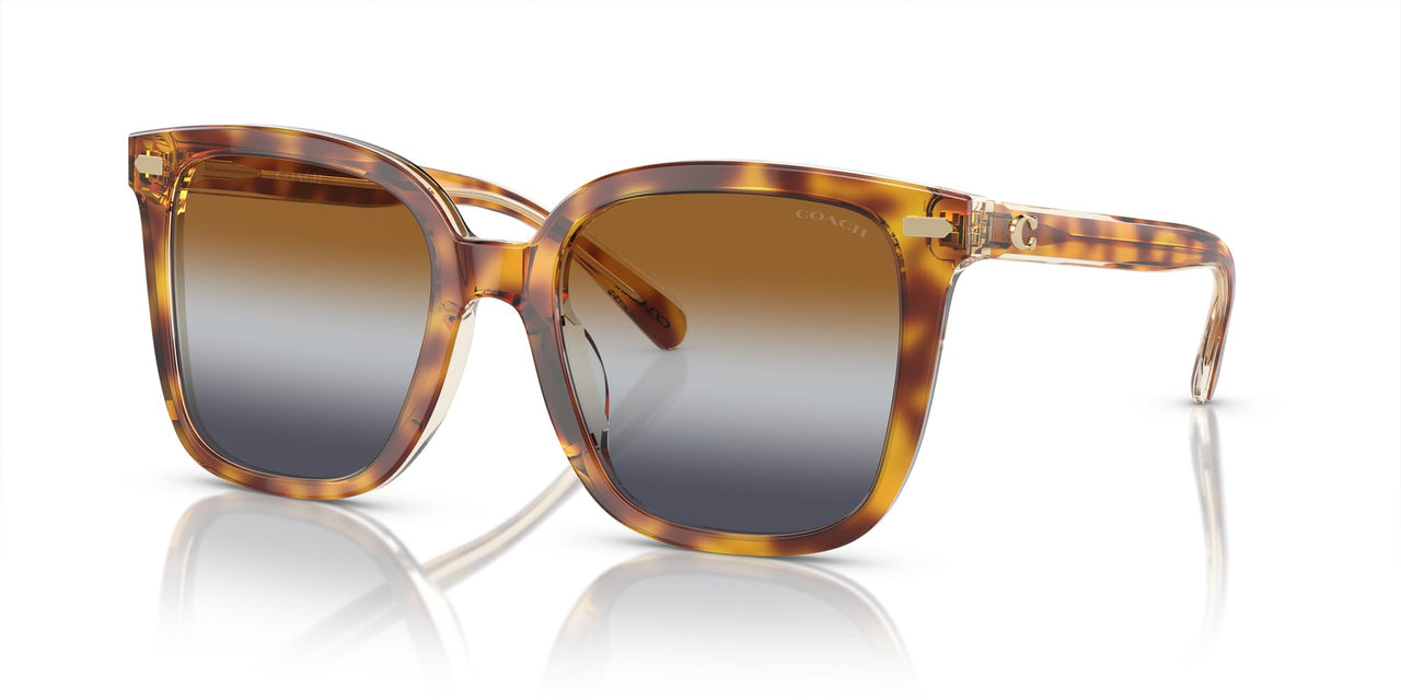 Coach HC8381F Low Bridge Fit Sunglasses, Dark Tortoise/Canary/Brown Teal Grey Gradient, 56 mm