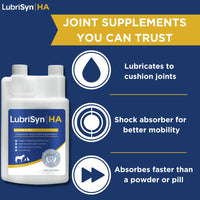 Thumbnail for LubriSynHA Hyaluronic Acid Hip & Joint Care Supplement for Dogs, Cats & Horses – Liquid Oral HA for Pets – Joint Support Supplement Promotes Mobility, Flexibility, Cartilage Health & Comfort – 32oz