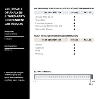 Thumbnail for Fadogia Agrestis - Ultra High Potency 30:1 Extract - 1200mg Per Serving - Highly Concentrated - Third-Party Lab Tested - 120 Capsules