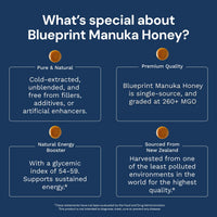 Thumbnail for Blueprint Bryan Johnson Manuka Honey - MGO 260+ - New Zealand Sourced - (8 oz)