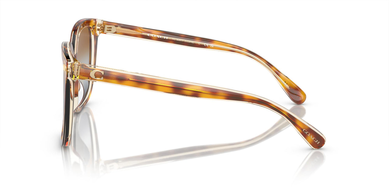 Coach HC8381F Low Bridge Fit Sunglasses, Dark Tortoise/Canary/Brown Teal Grey Gradient, 56 mm