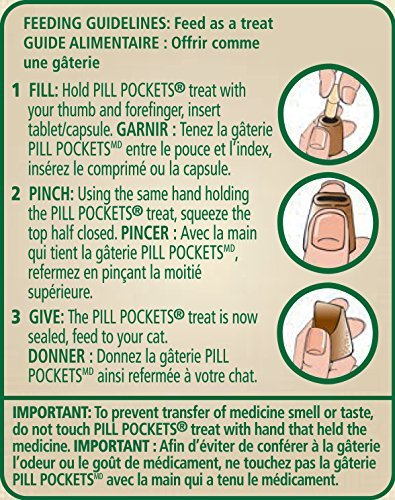 Greenies Feline Pill Pockets for Cats Natural Soft Cat Treats, Salmon Flavor, 1.6 oz. Pouch (45 Treats)
