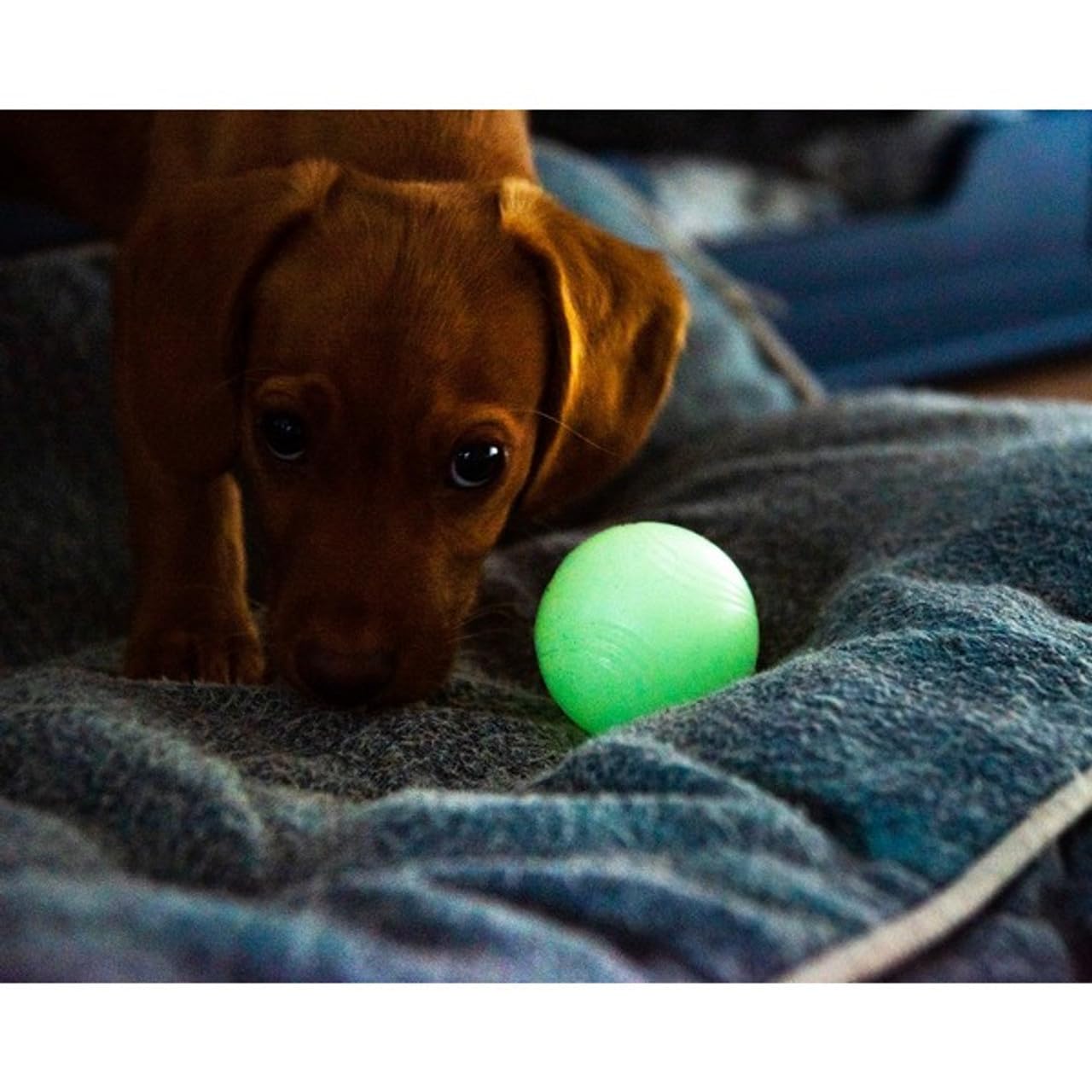 CHUCKIT Max Glow Balls, Small