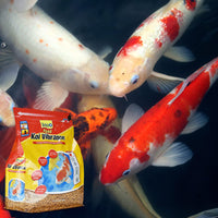 Thumbnail for TetraPond Koi Vibrance Soft Sticks, Floating Pond Fish Food for Koi Fish and Ornamental Goldfish, 2.42 Pounds