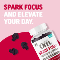 Thumbnail for OM MUSHROOM SUPERFOOD Brain Fuel+ Gummies – USA Grown Organic Lion’s Mane – Supports Memory, Focus & Cognitive Function – Raspberry Flavor – 28 Servings, 56 Count.