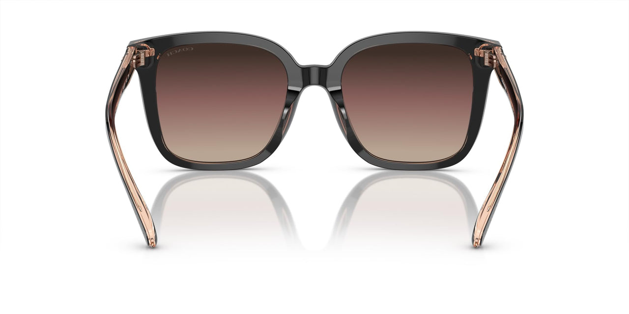 COACH Sunglasses HC 8381 U 5781E2 Cl918 Black/Transparent Blus