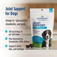 Thumbnail for Nordic Naturals Pet Joint Support Soft Chews, 30 Count, & Omega-3 Fish Oil for Small Dogs and Cats, 8oz.