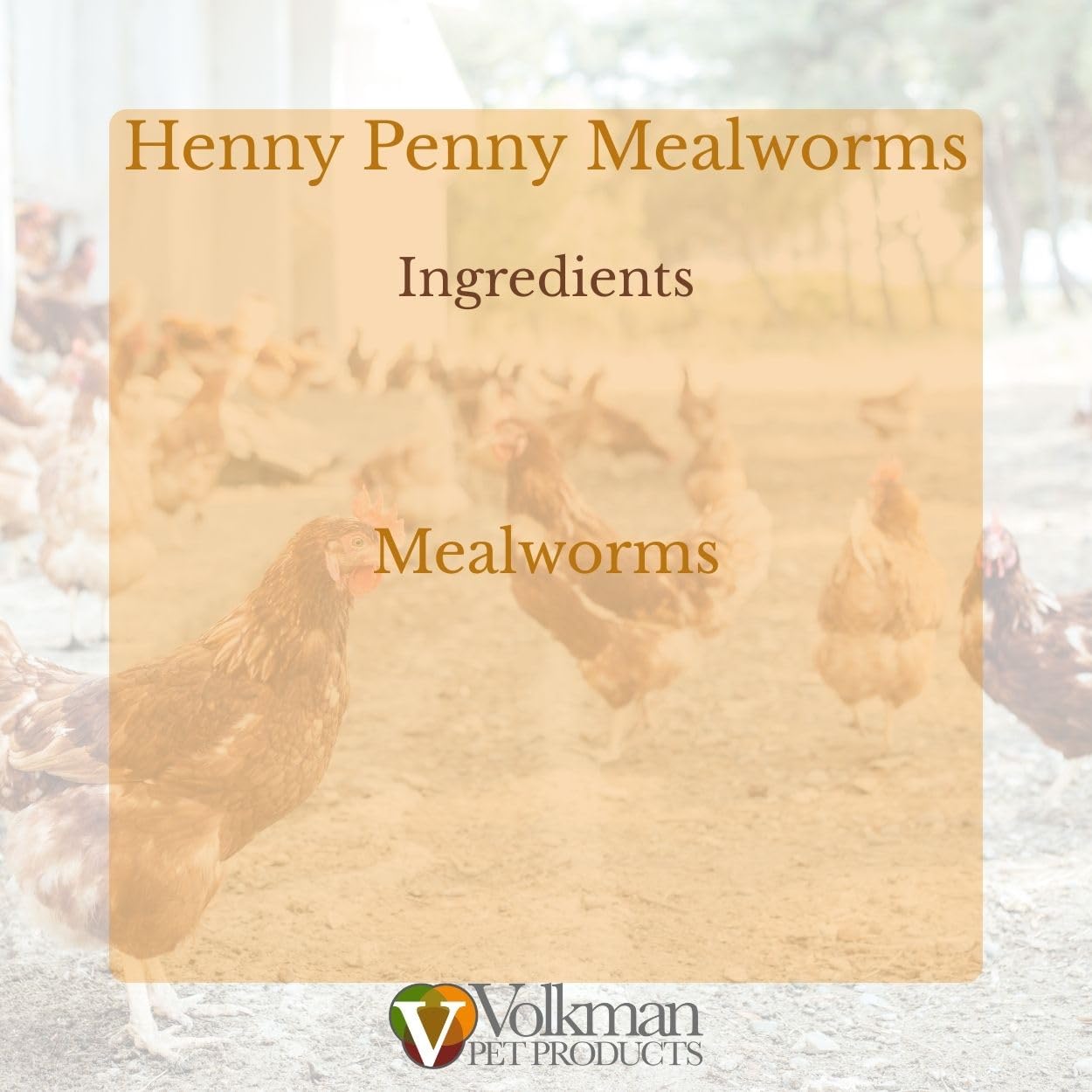 Volkman Henny Penny Mealworms, Mealworms for Chickens, Natural Protein, Freeze-Dried Meal Worms, 1.25lb Bags
