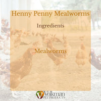 Thumbnail for Volkman Henny Penny Mealworms, Mealworms for Chickens, Natural Protein, Freeze-Dried Meal Worms, 1.25lb Bags