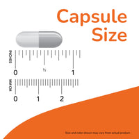 Thumbnail for NOW Foods Supplements, Empty Vegetarian Capsules, Double 