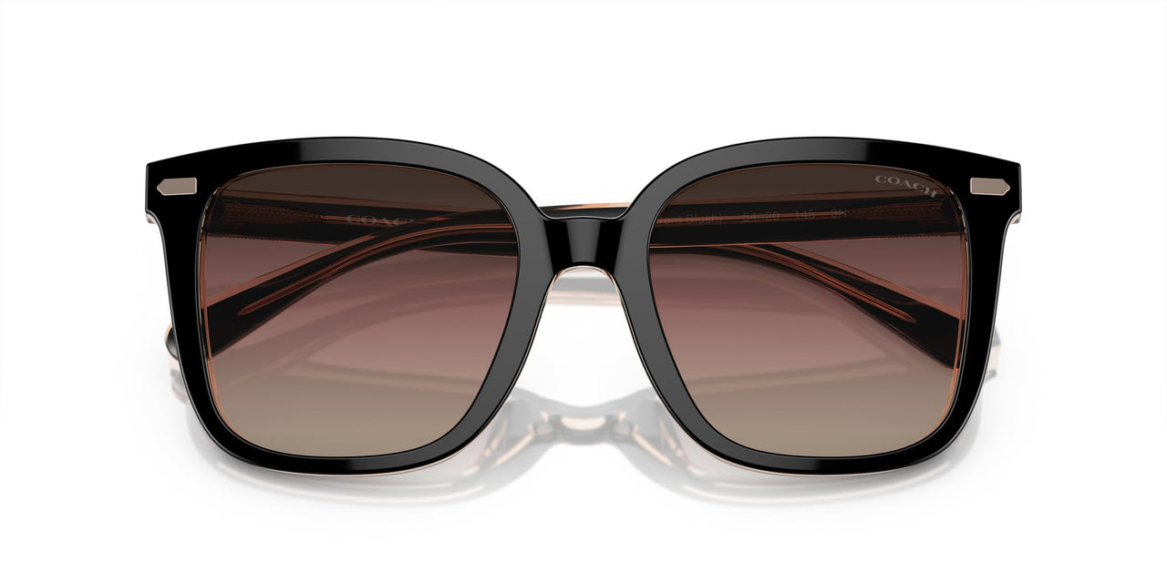 COACH Sunglasses HC 8381 U 5781E2 Cl918 Black/Transparent Blus