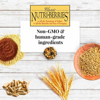 Thumbnail for LAFEBER'S Classic Nutri-Berries Conure Food, Made with Non-GMO and Human-Grade Ingredients, for Conures (Classic 10 oz)