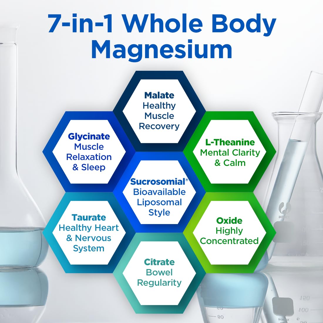 BioTrust Multi Magnesium Complex - High-Absorption 7-in-1 Supplement with Glycinate, Malate, Citrate, Taurate, Sucrosomial & More for Relaxation, Focus, Muscle Support - B6 & L-Theanine, 60 Capsules