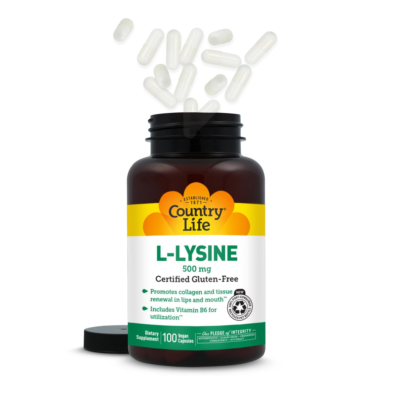 Country Life L-Lysine 500mg with B-6, Supports Immune Health, Promotes Collagen Renewal in Lips and Mouth, 250 Vegan Capsules, Certified Gluten Free, Certified Vegan