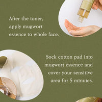 Thumbnail for [I'm From] Miniatures of Rice Toner, Mugwort Essence, Fig Boosting Essence (Mugwort), Stocking Stuffers, Gifts for Women