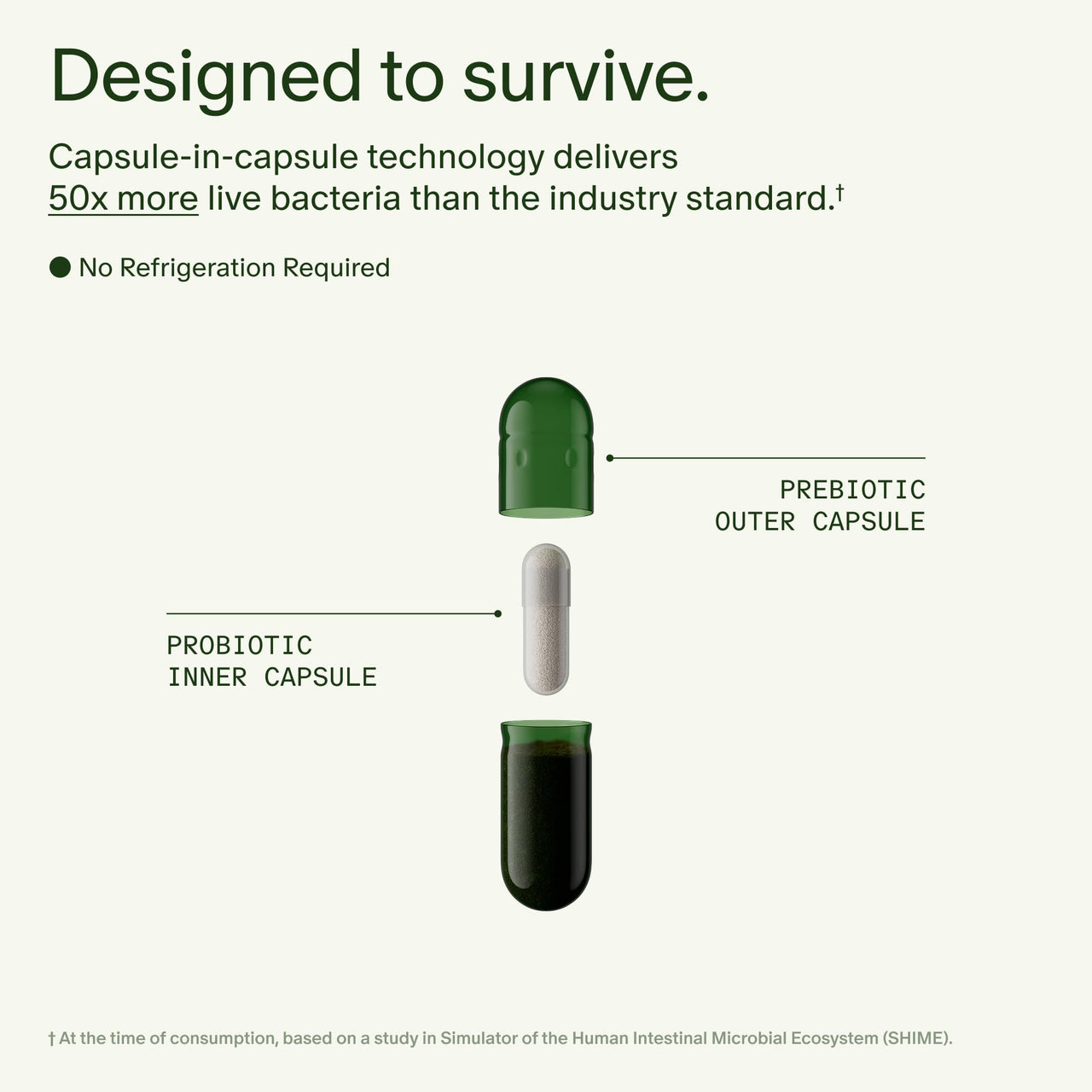 Seed DS-01 Daily Synbiotic - Prebiotic and Probiotic for Women & Men - Digestive Health, Gut Health, Immune Support, Bloating & Constipation Relief - Vegan & Shelf-Stable - 60 Capsules (30-Day Supply)