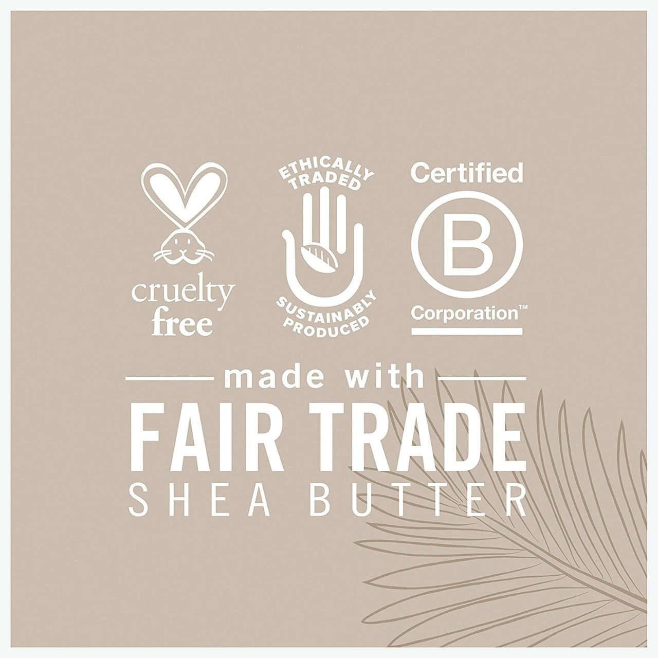SheaMoisture Coconut Oil for Face - Daily Hydration Overnight Face Oil with Coconut Milk & Acacia Senegal, Argan Oil for Skin, Organic Shea Butter, Hydrating, Vitamin E, 1 Oz (Pack of 2)