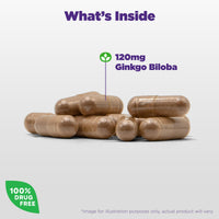 Thumbnail for Natrol Brain Health Ginkgo Biloba 120mg, Dietary Supplement for Brain Health and Memory Support, 60 Capsules, 60 Day Supply