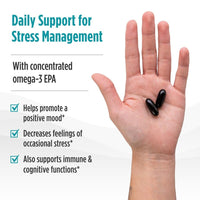 Thumbnail for Nordic Naturals Mood Support Omega Blend - Unflavored - 60 Soft Gels - 1400 mg Omega-3 Supplement with EPA & DHA - Promotes Balanced Mood and Serenity - Non-GMO - 30 Servings
