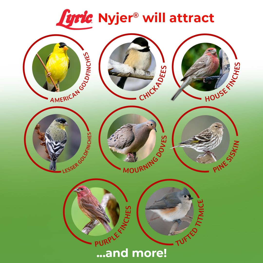 Lyric Nyjer Seed - 3 lb. Bag