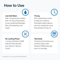 Thumbnail for Transparent Labs Creatine HMB - Creatine Monohydrate Powder with HMB for Muscle Growth, Increased Strength, Enhanced Energy Output, and Improved Athletic Performance - 30 Servings, Unflavored