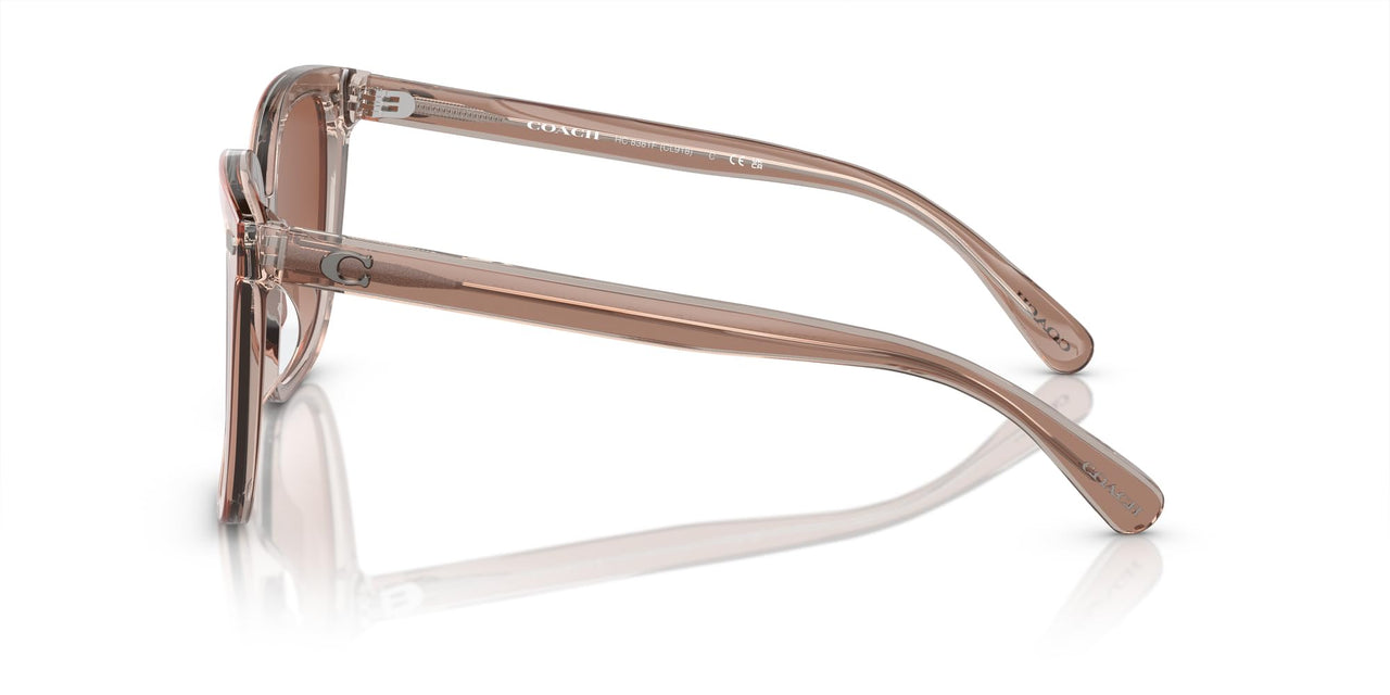 Coach HC8381F Low Bridge Fit Sunglasses, Transparent Brown/Grey/Brown Gradient, 56 mm