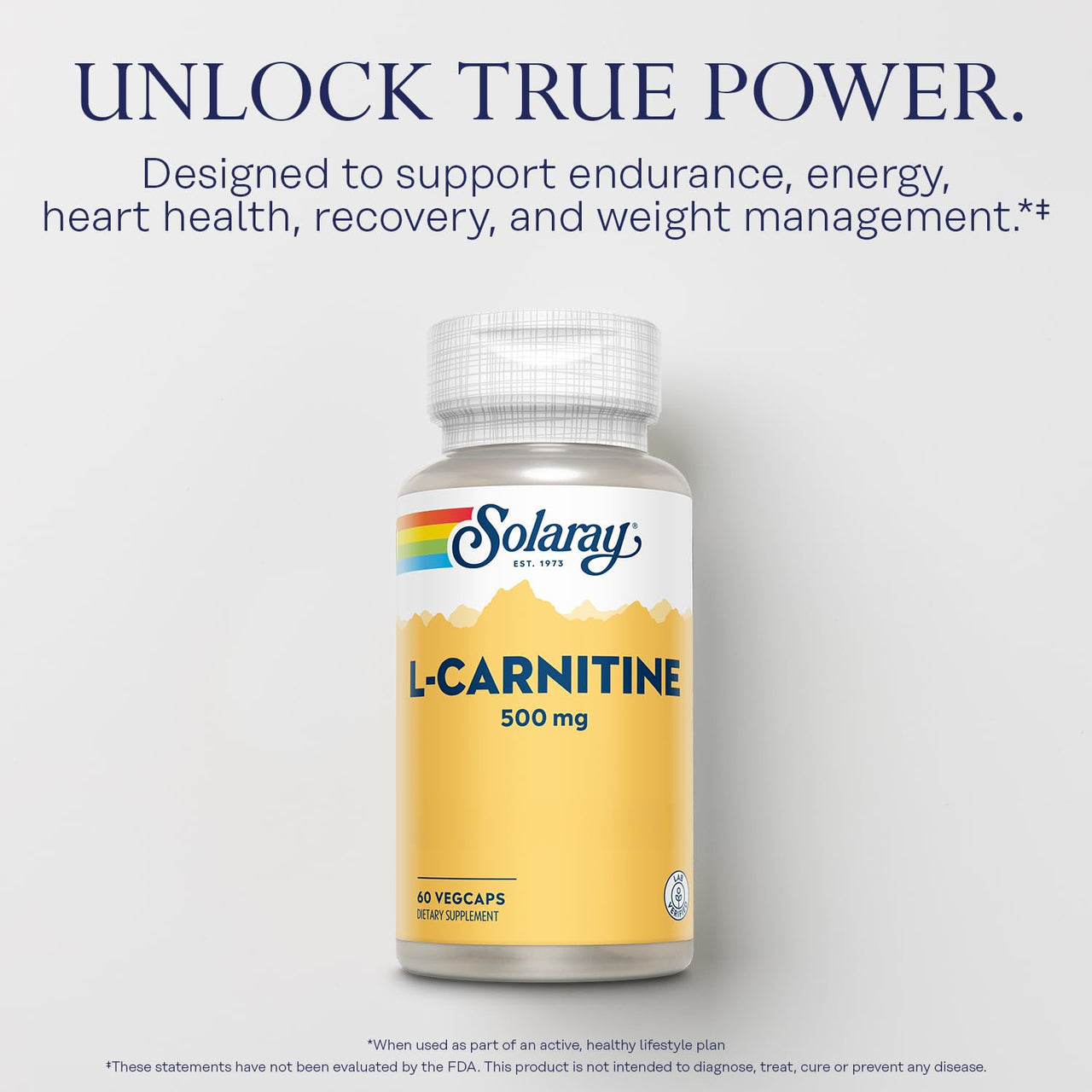 SOLARAY L-Carnitine 500 mg, Free Form Amino Acid, Lab Verified, GMP Facility, 60-Day Money-Back Guarantee, 60 Servings, 60 VegCaps