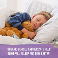 Thumbnail for Garden of Life Organics Elderberry Immune Support for Kids with Zinc, Vitamin C - Kids Elderberry & Sleep Immune Syrup Liquid, Bedtime Herbs for Children, No Alcohol, No Added Sugar, 3.92 fl oz