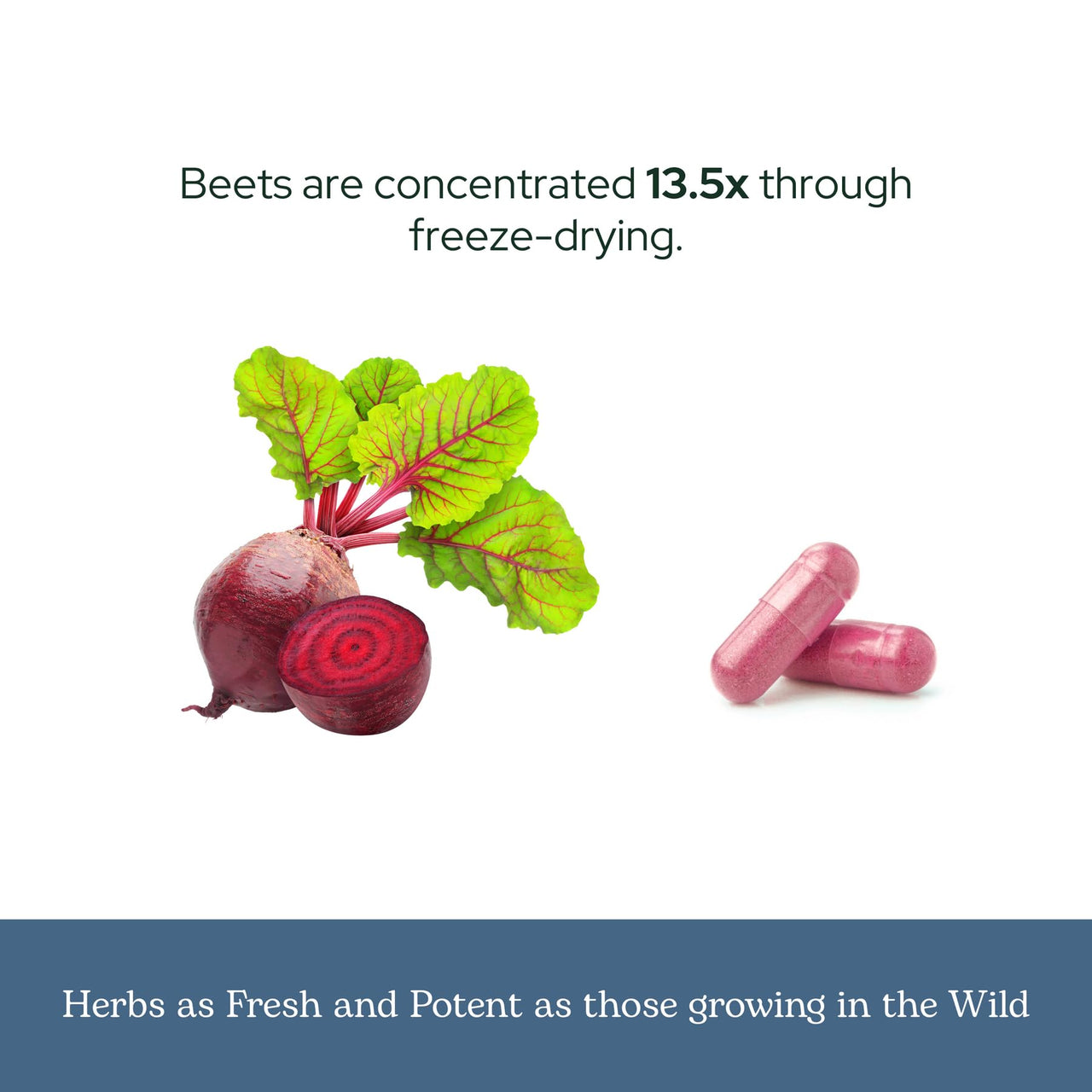 Eclectic Herb Beet Juice 45 Servings 90 Capsules