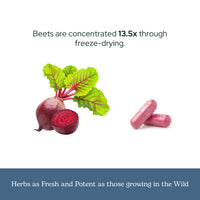Thumbnail for Eclectic Herb Beet Juice 45 Servings 90 Capsules