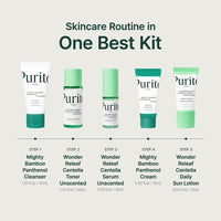 Thumbnail for PURITO SEOUL Best Kit - Skincare Routine with Panthenol Cleanser & Cream, Unscented Centella Serum & Toner, For All Skin Types, Gift Set, For Face, Facial Serum, K-Beauty, 3.52 fl. oz.