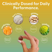 Thumbnail for SuperMush Energy Mushroom Gummies - Organic Lions Mane Supplement with Cordyceps, Rhodiola, L-Theanine, Maca - Vegan & Sugar-Free - Energy, Focus, Stamina, Stress Reduction - 60 Gummies (30 Servings)