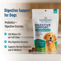 Thumbnail for Nordic Naturals Pet Digestive Support with Probiotics, Pork Bone Broth Flavor - 30 Soft Chews - Nutritional Supplement for a Healthy Digestive System and GI Support - 30 Non-GMO Chews
