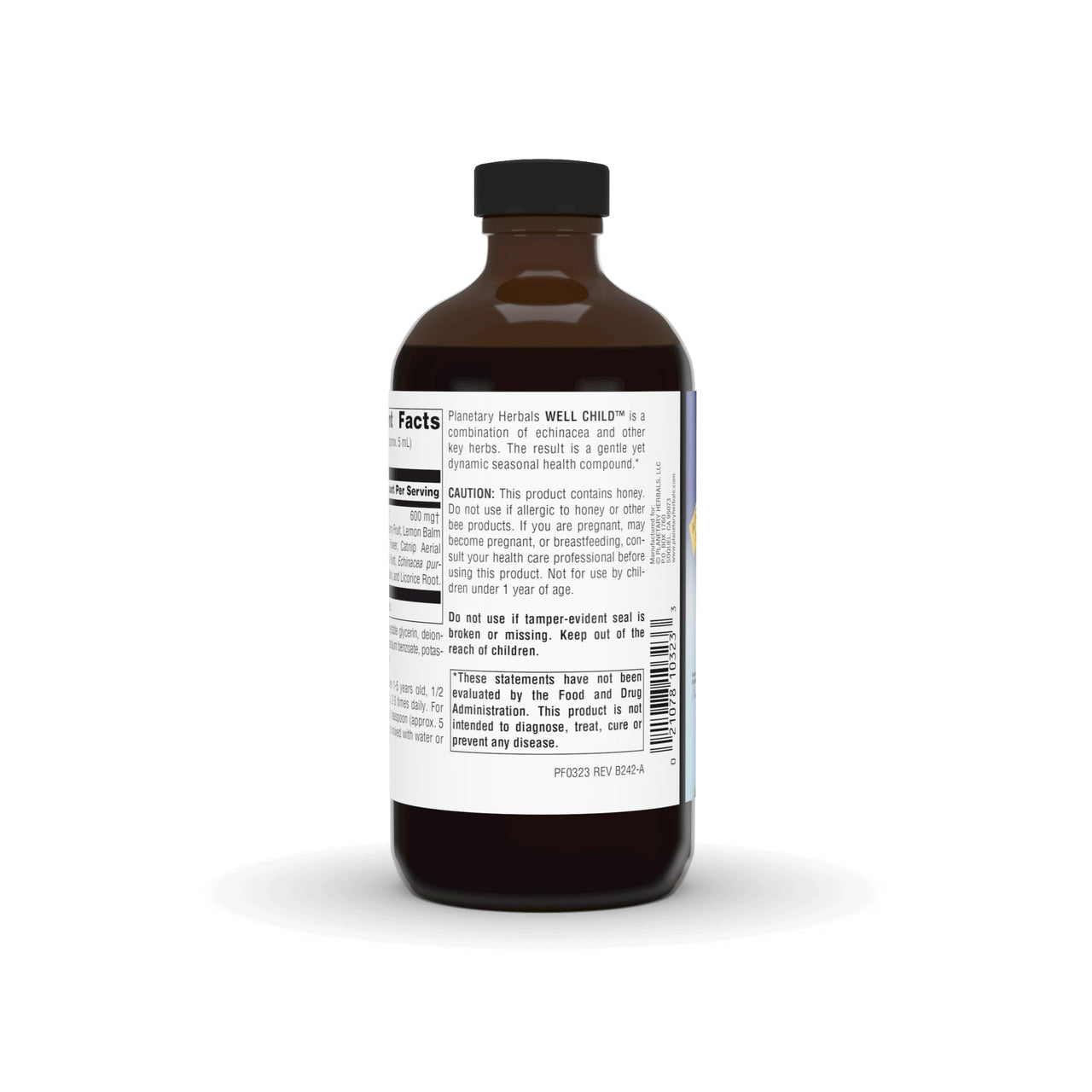 Planetary Formulas Well Child, Echinacea-Elderberry Syrup, 8 fl oz (236.56 ml)