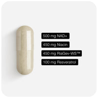 Thumbnail for Toniiq Ultra High Strength 1500mg NAD+ Supplement - Clinically Studied Ingredients with Patented RiaGev-WS™, Resveratrol, and Niacin - 60 Capsules