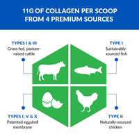 Thumbnail for BioTrust Ageless Multi Collagen Peptides Powder – 5 Types (I, II, III, V, X) – Vanilla Collagen Powder for Women & Men – Hydrolyzed Protein – Grass Fed Beef, Fish, Chicken, Eggshell Membrane