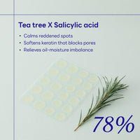 Thumbnail for Mediheal Derma Clear Teatree Treatment Spot Patch (44 Counts) - Acne Relief, Oil and Moisture Balance with Teatree & Salicylic Acid