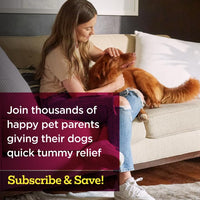 Thumbnail for Vetality Stop The Runs | Dog Anti Diarrhea Medicine | 6 Count Chewable | Chicken Flavor