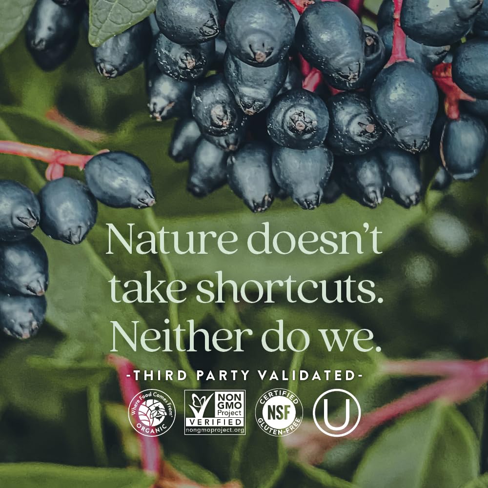 New Chapter® Vitamin C Immune Defense Supplement + Elderberry – Excellent Source of Vitamin C, One Daily Tablet for Healthy Immune Support, Made with Organic Herbs, Non-GMO, Gluten Free, 30 ct