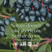 Thumbnail for New Chapter® Vitamin C Immune Defense Supplement + Elderberry – Excellent Source of Vitamin C, One Daily Tablet for Healthy Immune Support, Made with Organic Herbs, Non-GMO, Gluten Free, 30 ct