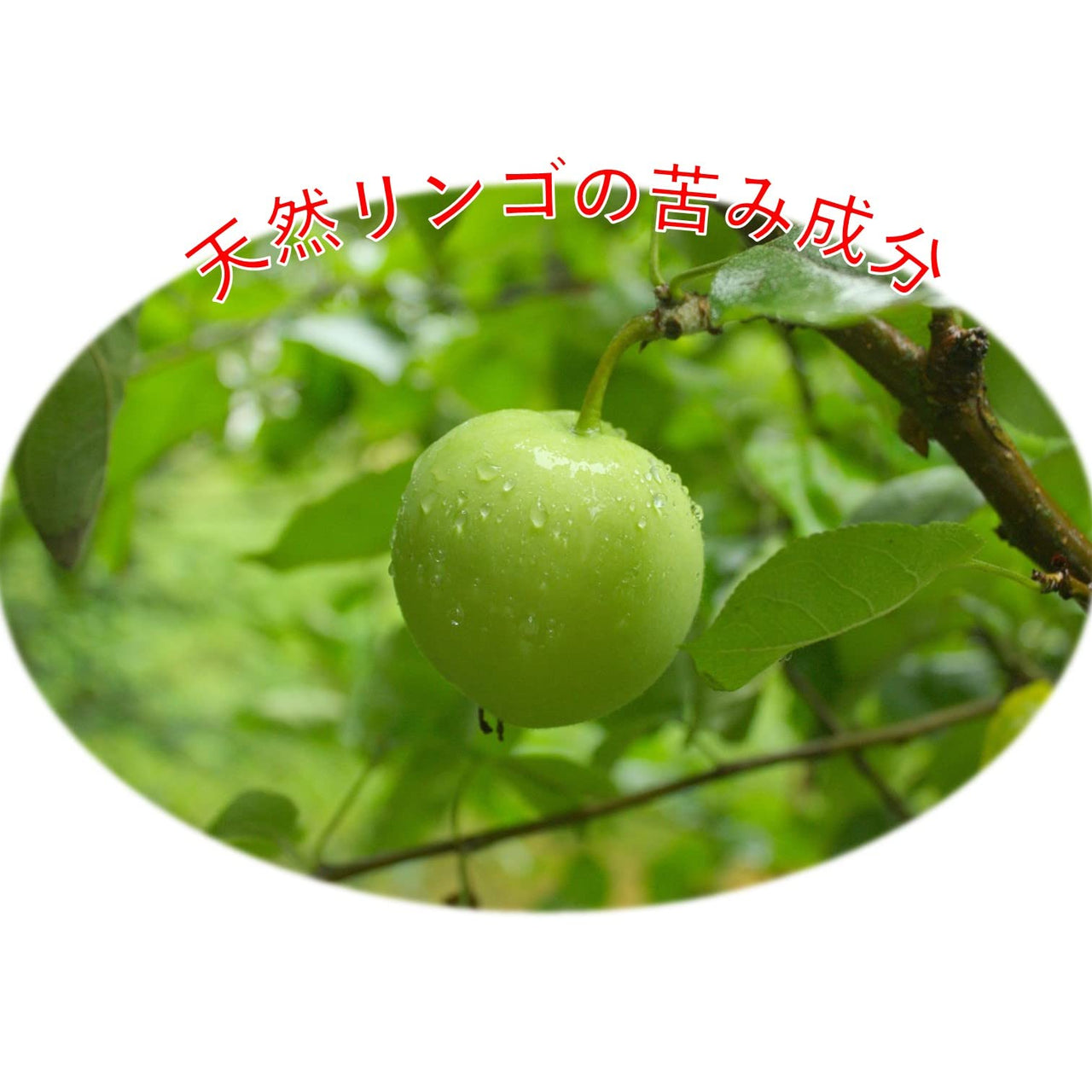 Grannick's Bitter Apple for Dogs Spray Bottle, 16 Ounces, Golds & Yellows (1116AT)