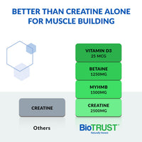 Thumbnail for BioTrust Ageless Muscle Builder - Creatine HMB Powder with Vitamin D3 & Betaine - Build & Preserve Naturally Declining Muscle Mass & Strength - Fruit Punch, 30 Servings