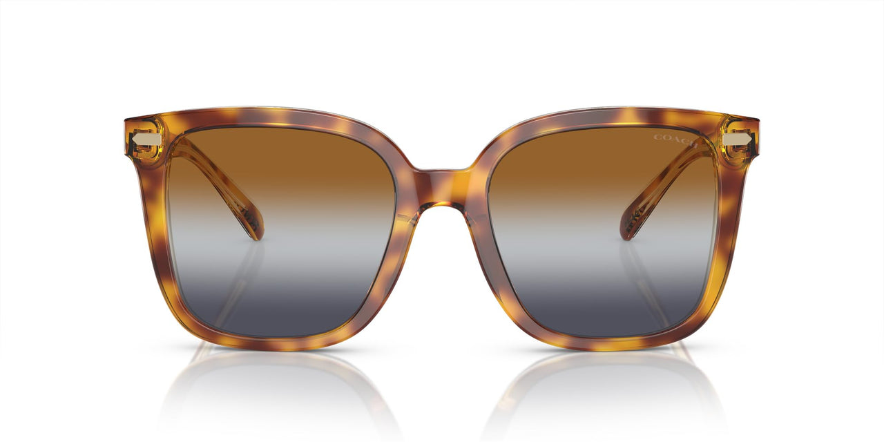 Coach HC8381F Low Bridge Fit Sunglasses, Dark Tortoise/Canary/Brown Teal Grey Gradient, 56 mm