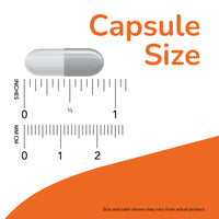 Thumbnail for NOW Foods Supplements, L-Carnitine 500mg, Purest Form, Amino Acid, Fitness Support*, 60 Veg Capsules