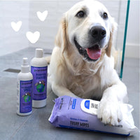 Thumbnail for earthbath, Mediterranean Magic Dog Shampoo - Deodorizing Shampoo for Dogs, Rosemary Scented Dog Wash, Made in USA, Shampoo for Smelly Dogs, Cruelty Free Pet Shampoos - 16 Oz (1 Pack)