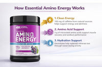 Thumbnail for Optimum Nutrition Amino Energy Powder Plus Focus, with BCAA, Electrolytes, and Caffeine, Grape, 1.42 LB,72 Servings (Packaging May Vary)